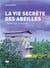 La vie secrète des abeilles : L'esprit de la ruche