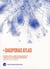 E-diasporas atlas : exploration and cartography of diasporas on digita networks