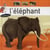 L'éléphant