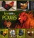 Lexiguide des poules