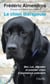 Le chien thérapeute : moi, lol, labrador et premier chien d'assistance judiciaire