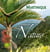 Martinique fabuleuse nature