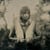 The ballad of boogie christ acts I & II - Vinyle