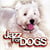 Jazz for dogs