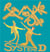Système D