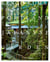 Kengo kuma and the portland japanese garden