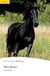 Black Beauty Level 2