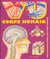 Vu corps humain