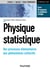 Physique statistique - des processus élémentaires aux phénomènes collectifs