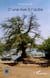 D'une rive à l'autre - associations villageoises et développement dans la région de Kayes au Mali