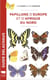 Guide Delachaux : Papillons d'Europe et d'Afrique du Nord
