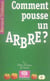 Comment pousse un arbre ?