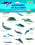 Dauphins et baleines - 65 autocollants