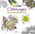 Coloriages extraordinaires - 100 dessins à colorier pour destresser
