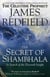 The secret of Shambhala - in search of the eleventh insight