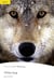 Plpr2:White Fang Bk/MP3 Pk