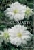 Choosing your clematis