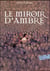 À la croisée des mondes Tome 3 : le miroir d'ambre