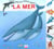Dans la mer