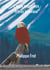 L'aigle rouge des frères jumeaux