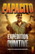 Expedition punitive