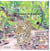 Le pareseux et le Jaguar / The Sloth & the Jaguar