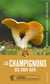 Les champignons des sous-bois