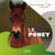 Le poney