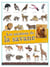 Les animaux de la savane