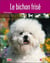 Le bichon frise