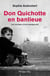 Don Quichotte en banlieue - les combats d'une jeune enseignante