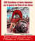 200 questions guerre de Troie