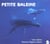 Petite baleine