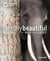 Terribly beautiful elephant - man  - ivory