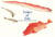 Fishes of Edo : A Guide to Classical Japanese Fishes