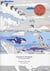 Animaux de la mer - cahier à colorier