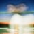 Future perfect present tense - Vinyle
