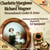 Wesendonck Lieder & Arias