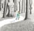 Into the Forest /anglais