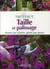 Taille et palissage