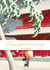 Carnet Larousse - Temple japonais sous la neige
