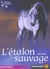 Cheval fantome  t1 - l'etalon sauvage (le)