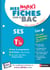 MES MAXI FICHES ABC DU BAC : SES - terminale ES (édition 2018)