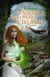 Le souffle de la pierre d'Irlande Tome 1 : le feu