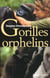 Gorilles orphelins