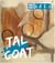 Revue Dada Hors-Série n.7 : Tal Coat