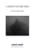 Carnet de brumes