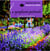 La symphonie pastorale - CD