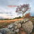 Calendrier Cévennes 2024 : Photographies de Thierry Vezon