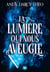 La lumière qui nous aveugle